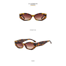 (C6 Leopard Print Frame Double Brown Lenses) Kleine farbige Sonnenbrille im INS-Stil, personalisierbar, Runway UV400 9414