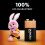 Duracell DURACELL Plus 9V Alkaline Batteries (2 Pack) 6LR61 2