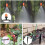 150PCS Adjustable Garden Drip Irrigation Misting Nozzle Micro-Flow Dripper Spray Gardening Tools 9
