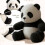 Panda Stuffed Animal Heating and Cooling Plushie 5
