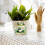 Frog Transfer Stickers 3.9x3.6 inch 18 sheets 5