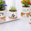Kerámia bonsai cserép vízelvezető tálcával, 11 cm 6