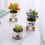 Kerámia bonsai cserép vízelvezető tálcával, 11 cm 7