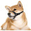 Nylon Dog Muzzle Adjustable Loop for Small Medium Large Dogs 5