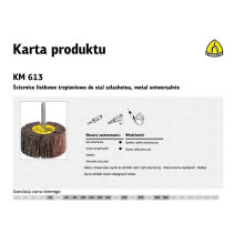 KLINGSPOR - 25 rodas de lamelas de corindo KM 613 D. 20 x 15 x 6 mm Gr 80 - 284738