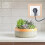 Wood Outlet Cover Wall Plate 1 Piece 5