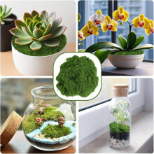 4X Musgo Falso para Plantas em Ambientes Internos, para Jardim de Fadas em Vasos, DIY, Paredes, Recipientes de Vidro, Decoração para Casa - 3,5 Oz
