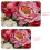 Πατάκι μπάνιου με αφρό μνήμης Brilliant Peony 20x31 ιντσών, μαλακό, αντιολισθητικό, γρήγορο 4
