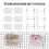 12 Pieces Pegboard Plastic Bins Kit - Pegboard Bins with Hooks - Pegboard Accessories Workbench Bins Fits to Peg Board 2