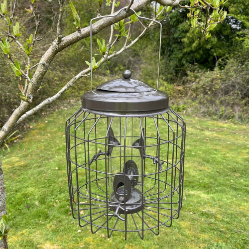 Selections Deluxe Heavy Duty Squirrel Proof Wild Bird Hanging Seed Feeder Cage 1