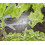 Gardena Micro-Sprinkler 360, 5 pcs. 5