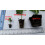 Gardeners Kitchen - Lettuce Plants - 'Mixed' 6 X Medium Plug Vegetable Plants 4