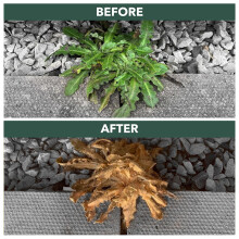 Weedblast RootKill Weedkiller 1 Litre, Super Strength 360 g/L Glyphosate Concentrated Weed Killer, Pair of Gloves, Integral measuring device