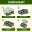 Silicone Ice Pop Mold Small Mini Sturdy for Home Use 7