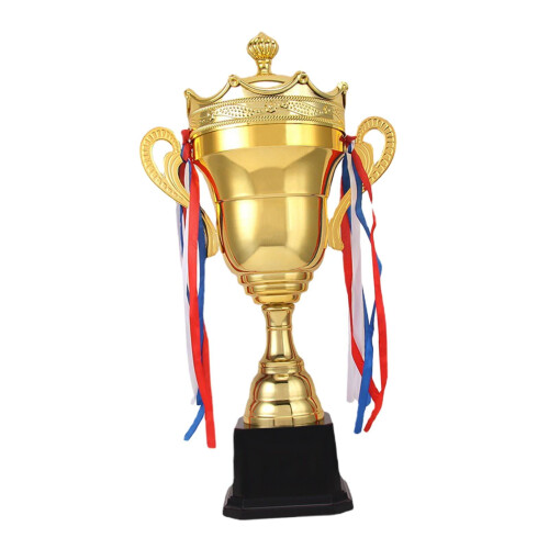 Trophy Cup Prize Decoration Metal Keepsake 35cm 1