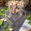 Polycarbonate Food Pan Lid Clear 1/6 Size 3