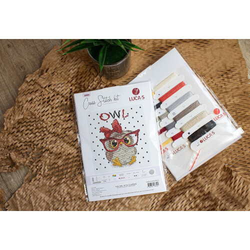 Cross Stitch Kit The Owl with Glasses B1403 1