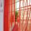 Solid Color Wedding Curtain Rose Red 100x201 cm 2