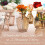 Glass bud vase set clear and amber 24-pack 7