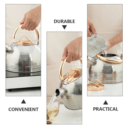 Stainless Steel Whistle Teakettle 1 pc 1