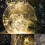 Welling fairy lights 6 ft 20 LED battery powered 7