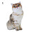 Welling cat plush pillow 50cm 2