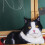 Welling cat plush pillow 50cm 6