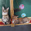 Welling cat plush pillow 50cm 7