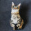 Welling cat plush pillow 50cm 8