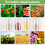 Seed Storage Organizer Box Garden Vegetable Flower 60 Slots 7