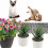 Cat Deterrent Mat with Spikes 12 Pieces 3