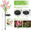 Wattne Solar Garden Lights Lily Design 2 pcs 5