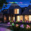 Solar Garden Stake Lights 4 pcs 8 LED multi-color 2