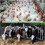 600 Pcs Misting Nozzle Sprayer 90/180/360 Degree Atomizing  Sprinklers Drip Ring Irrigation Emitters Nozzle 5