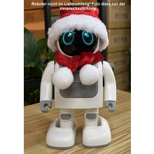 Robert - zbh. Verkleidung "Christmas Edition"