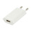 Flepo Netzteil USB 1-fach 100V/240V-1A 1