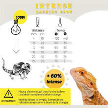 Basking Light for Reptiles, 100W Intense Basking Spot, Reptile Heat Bulb Light, UVA Heat Lamp Bulbs 220v