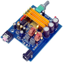 Carte Amplificateur de Subwoofer TPA3116 100W 4Ω DC24V Mono Module D'Amplificateur Audio pour Haut-Parleur DIY