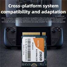 Disque SSD NVMe PCIe 4.0x4 Gen4 de 256 Go 2230 pour Ordinateur Portable de Bureau, Disque à État Solide Haute Vitesse