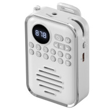FM Radio HD Display Digital Radios Recevier Wireless Speaker Voice Recorder Rechargeable TF Card Playe B