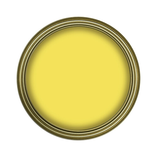 Rustins RUSTINS Small Job Gloss Paint Buttercup 250ml 2