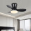 25 Inch Ceiling Fans with Lights and Remote 5