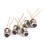 10  3 DU 5 C Metal Silicon Phototransistor Transistor 6
