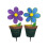 MIX af blomster 1