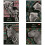 Notesbog A5/60K Wild Beauty-serien (10 stk.) 1