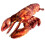 Hummer 28 cm 1
