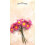 Papir margueritter 10 stk. lyserøde 1