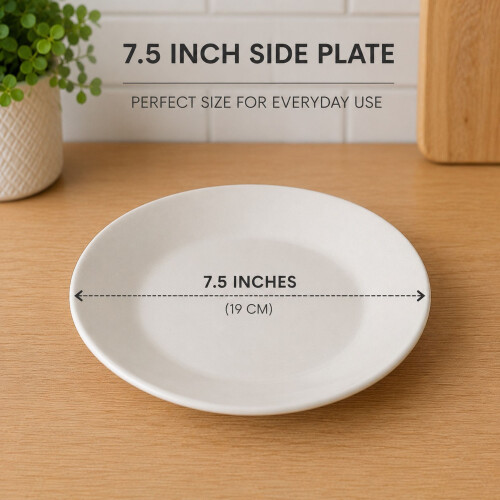 Porcelain Side Plate 7.5 Inch Small Serving Plate 2
