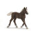 Schleich Schwarzwald-føl 1