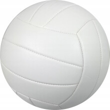 Volleyball-professionel